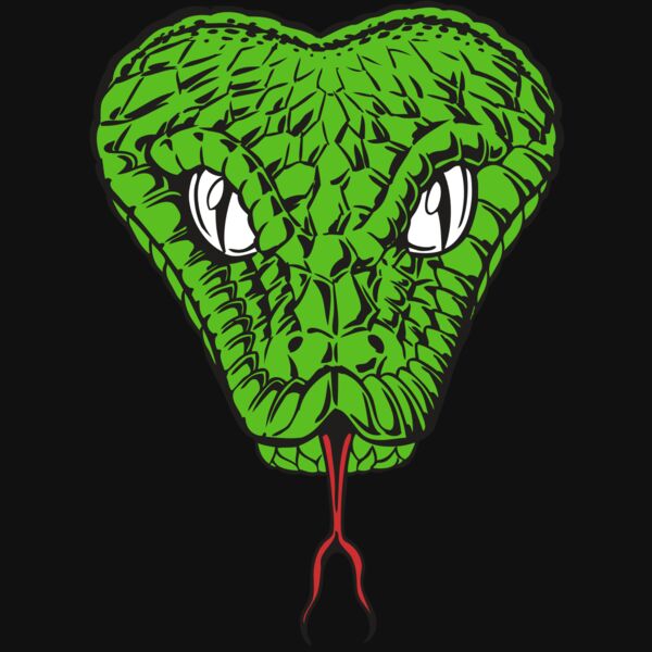 BAW SNAKE 08 RC Thumbnail