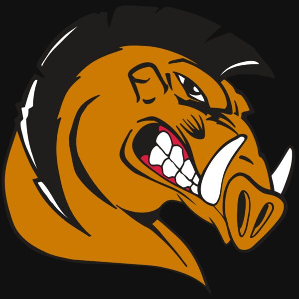 AR RAZORBACK 19 RC Thumbnail