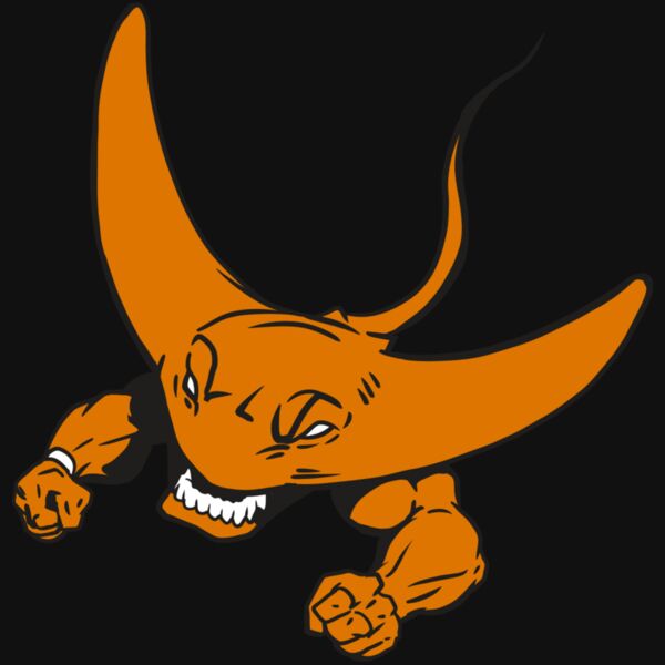 AR19 STINGRAY 06 RQC Thumbnail