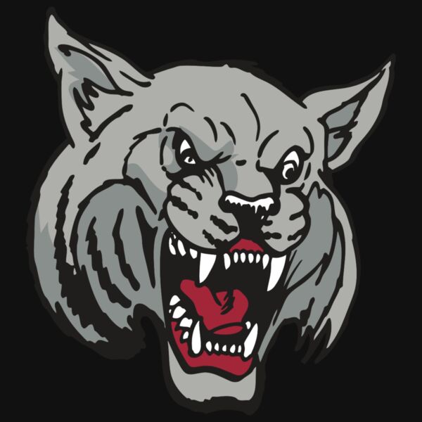 AR WILDCAT 42 RC Thumbnail