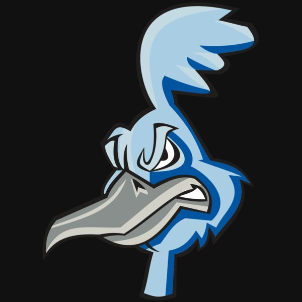 ROADRUNNER HD0501 RQC Thumbnail