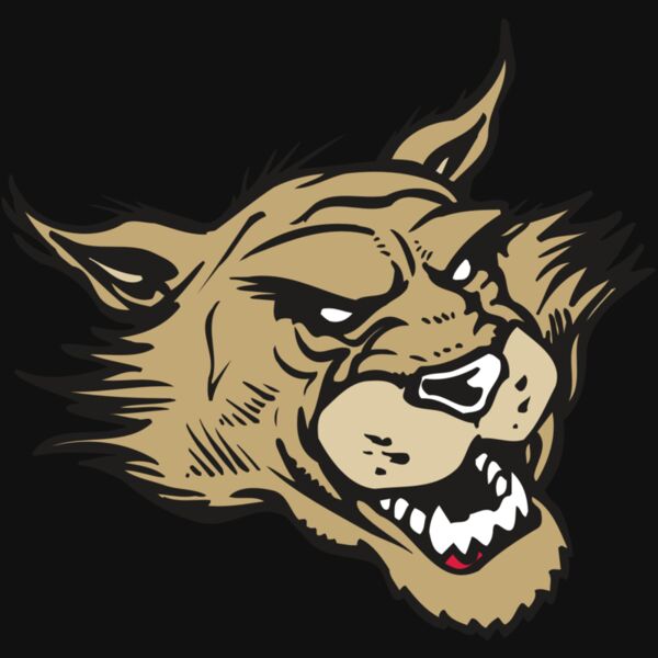 AR WILDCAT 39 RC Thumbnail