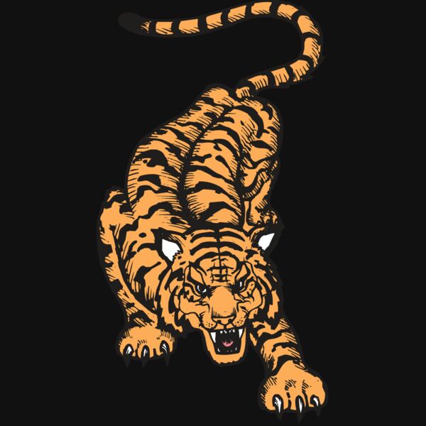 BAW TIGER 01 RC Thumbnail