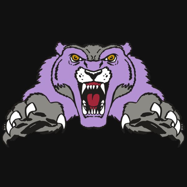 AR WOLVERINE 17 RC Thumbnail