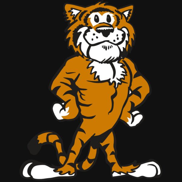 AR TIGER 91 RC Thumbnail