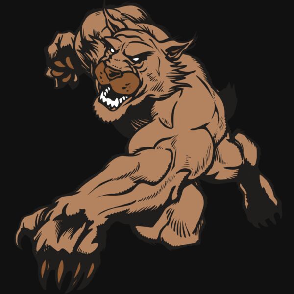 AR WILDCAT 47 RC Thumbnail