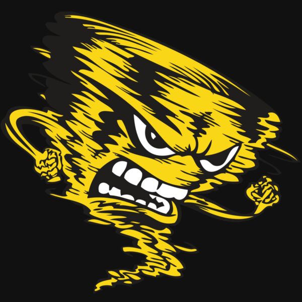 BAW STORM 08 RC Thumbnail