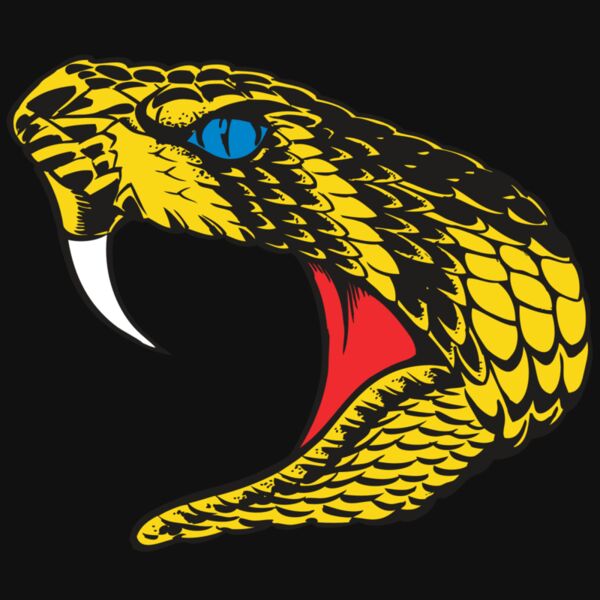 BAW SNAKE 06 RC Thumbnail