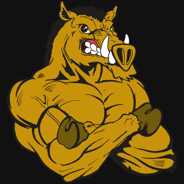 AR5 Razorback 17 RQC Thumbnail