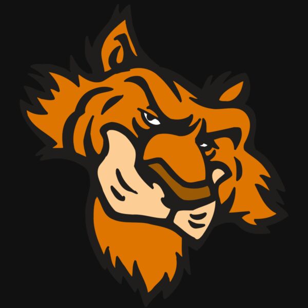 AR5 Tiger 16 RQC Thumbnail