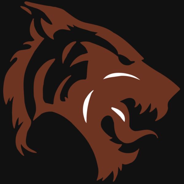 AR5 TIGER 06 RQC Thumbnail