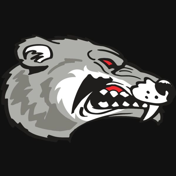 AR WOLVERINE 13 RC Thumbnail