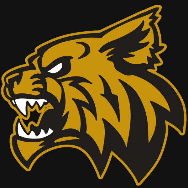 AR WILDCAT 16 RC Thumbnail