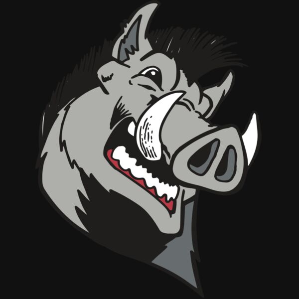 AR RAZORBACK 15 RC Thumbnail