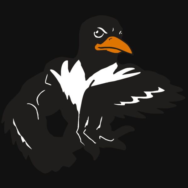 AR ORIOLE 22 RC Thumbnail