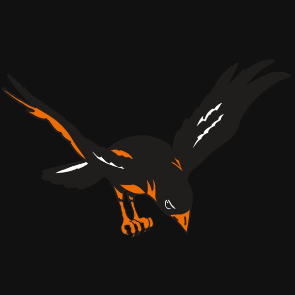 AR ORIOLE 16 RC Thumbnail