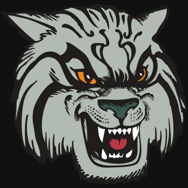 BAW WILDCAT 03 RC Thumbnail