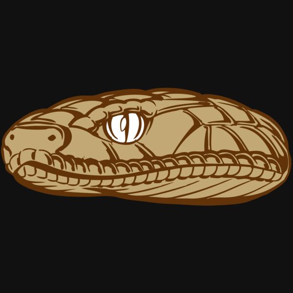 BAW SNAKE 12 RC Thumbnail