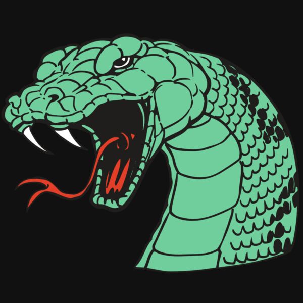 AR SNAKE 10 RC Thumbnail