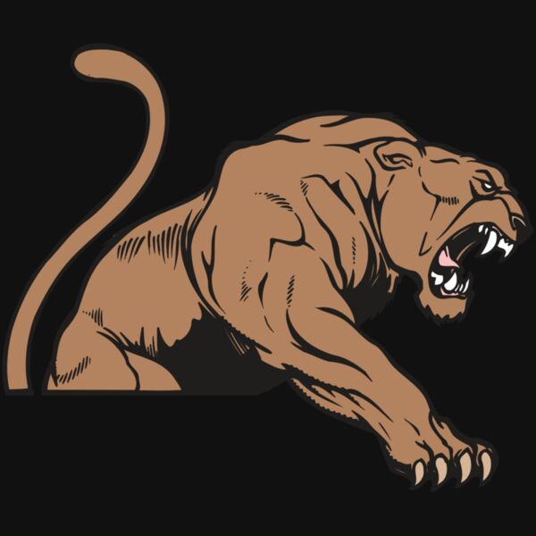 AR COUGAR 55 RC Thumbnail