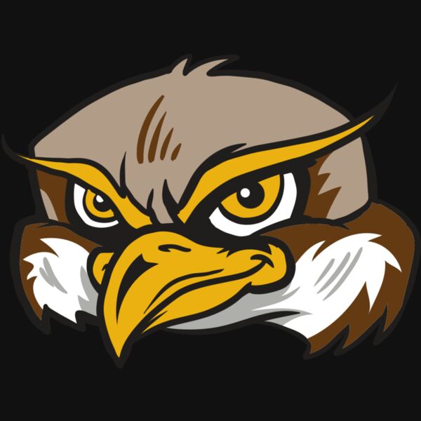 AR12 OWL 02 RQC Thumbnail