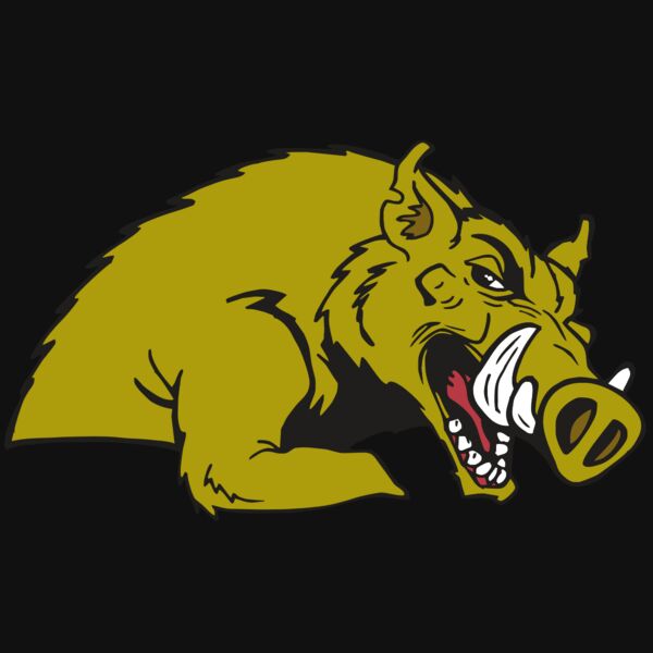 AR RAZORBACK 23 RC Thumbnail