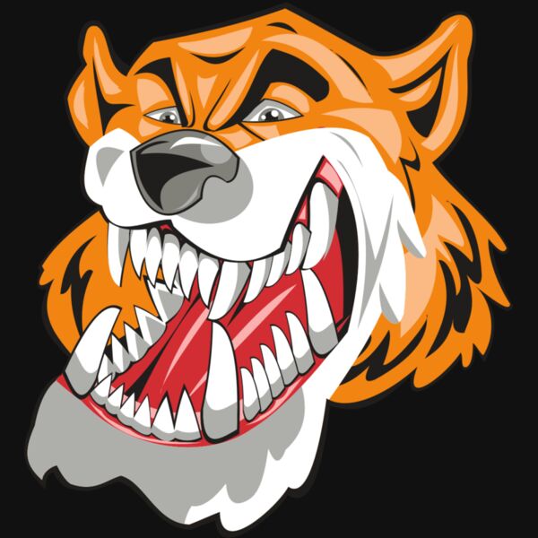 TIGER HD0504 RQC Thumbnail