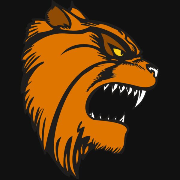 BAW WILDCAT 08 RC Thumbnail