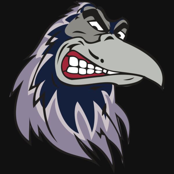 RAVEN HD0504 RQC Thumbnail