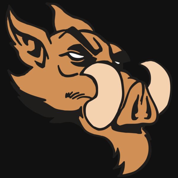 AR5 Razorback 16 RQC Thumbnail