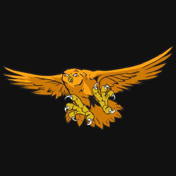 AR31 OWL 01 RQC Thumbnail