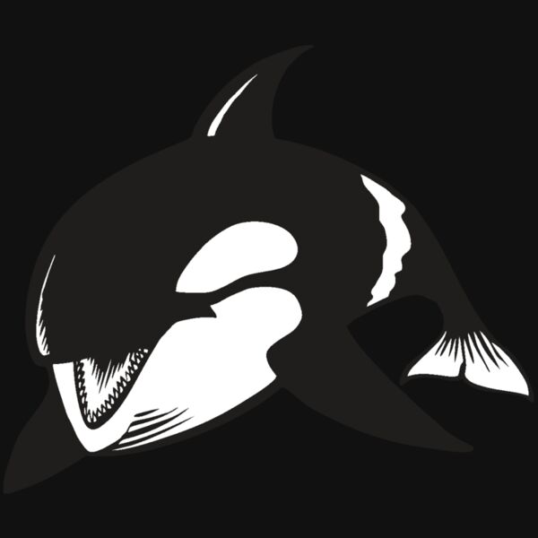 BAW KLRWHALE 04 RC Thumbnail