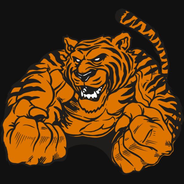 AR TIGER 55 RC Thumbnail