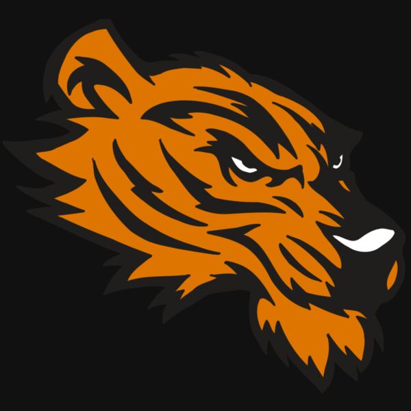 AR5 Tiger 05 RQC Thumbnail