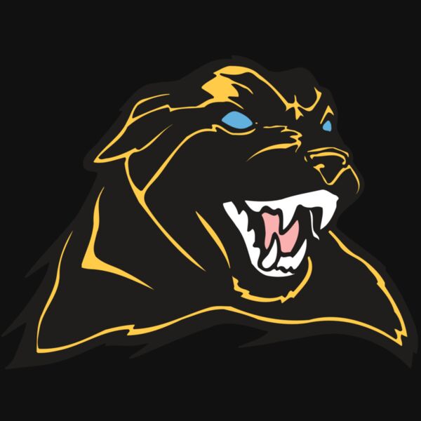 AR COUGAR 42 RC Thumbnail