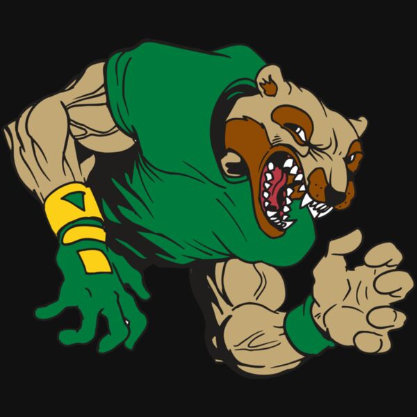 AR5 Wolverine 17 RQC Thumbnail