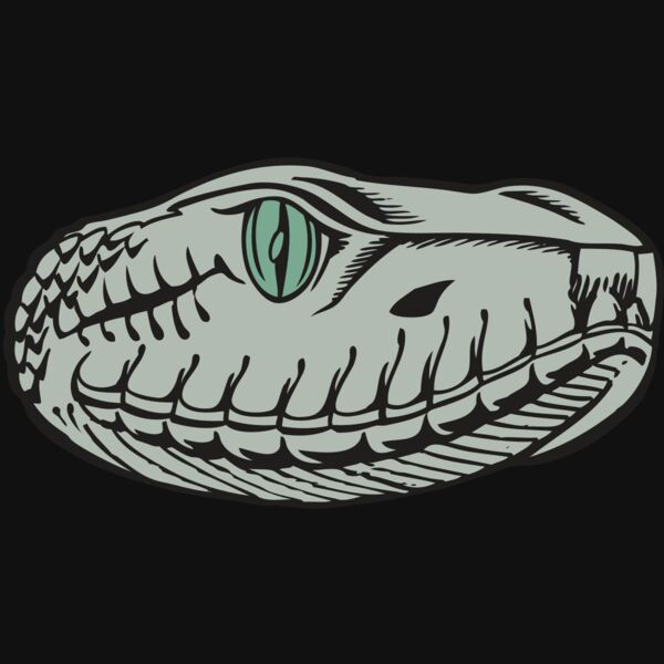 BAW SNAKE 10 RC Thumbnail