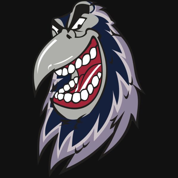 RAVEN HD0503 RQC Thumbnail