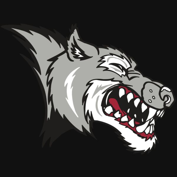 AR WOLF 15 RC Thumbnail