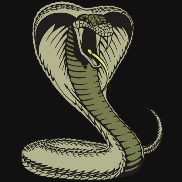 BAW SNAKE 07 RC Thumbnail