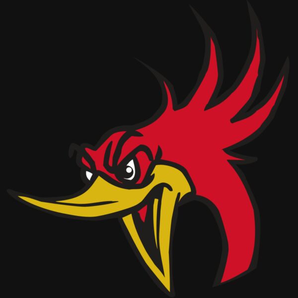 AR31 ROADRUNNER 02 RQC Thumbnail