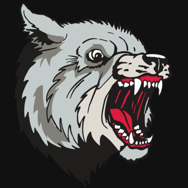 AR WOLF 38 RC Thumbnail