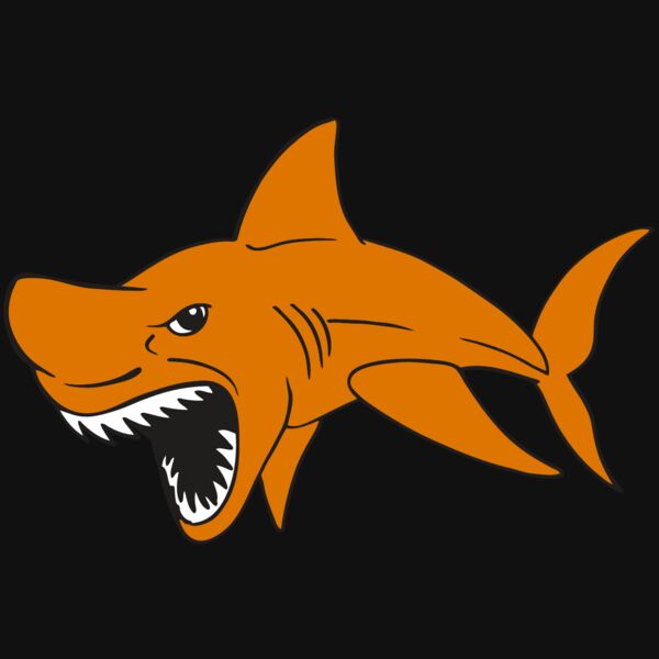 AR  SHARK 20 RC Thumbnail