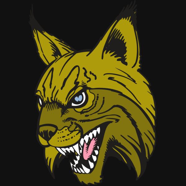 BAW BOBCAT 05 RC Thumbnail