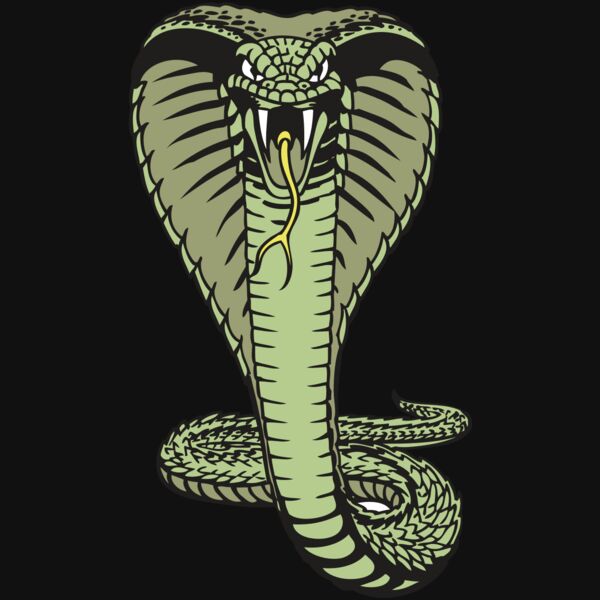 BAW SNAKE 15 RC Thumbnail