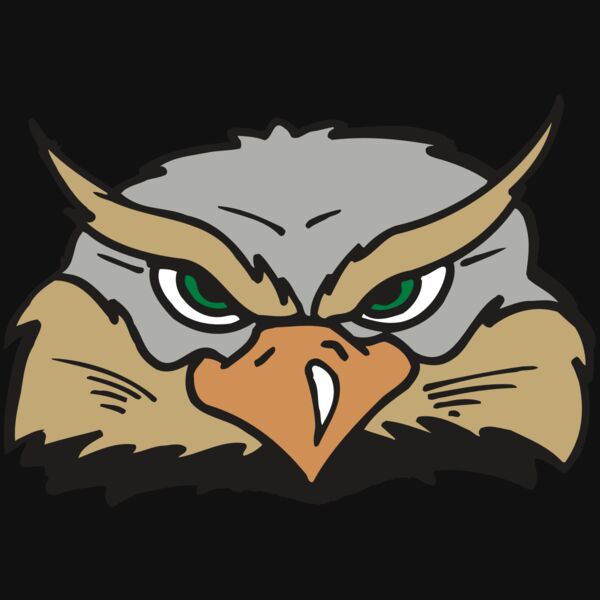 AR5 Owl 05 RQC Thumbnail