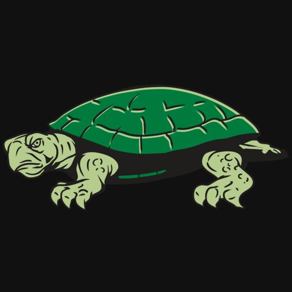 AR32 TURTLE 01 RQC Thumbnail