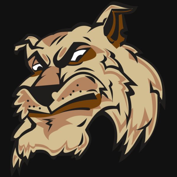 WILDCAT HD0501 RQC Thumbnail