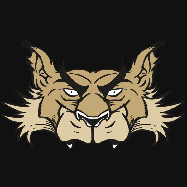 AR5 Wolf 28 RQC Thumbnail