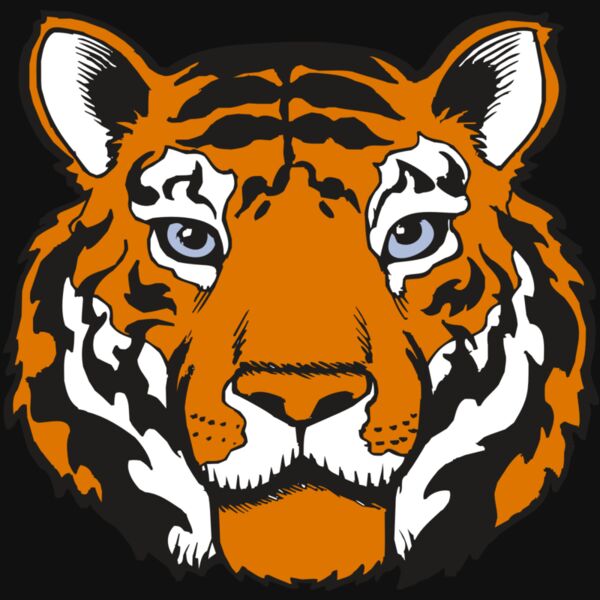 BAW TIGER 02 RC Thumbnail